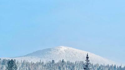 Выездной корпоратив ГК "Фройд"